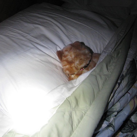 [IMG_8170CROPPED2.jpg]