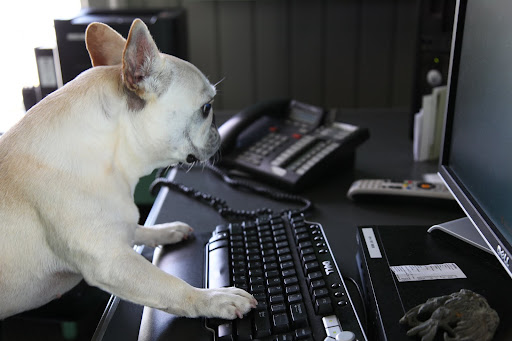 On second thought - the emails can wait.  Is that the TV remote I see?