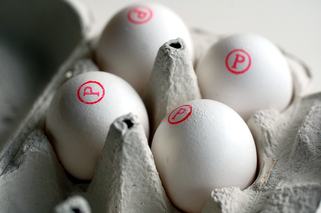 [egg44.jpg]