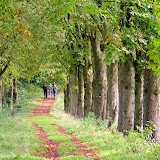 Herbst