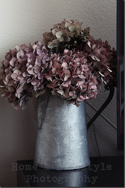 Home & Lifestyle Home & Lifestyle