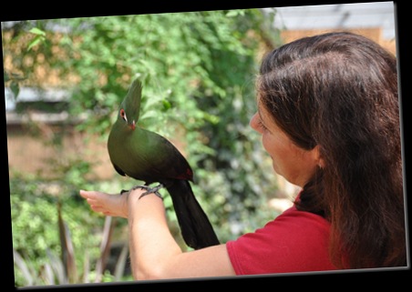 Lydia with Damien (Green Crested Touraco) DSC_0698