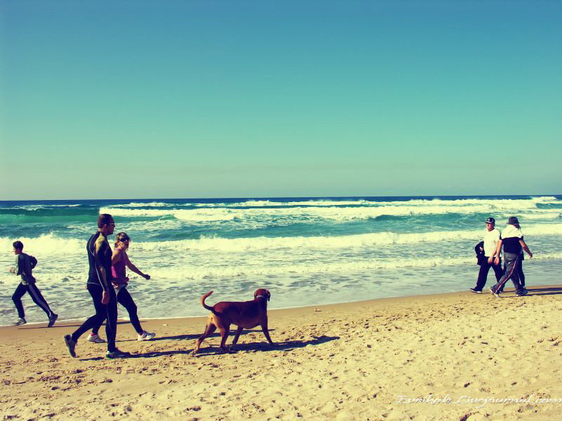 ЗИМНЯЯ ХАЙФА