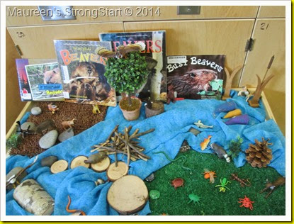 IMG_2808 IMG_2808