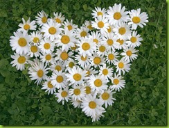 coraz&oacute;n de flor