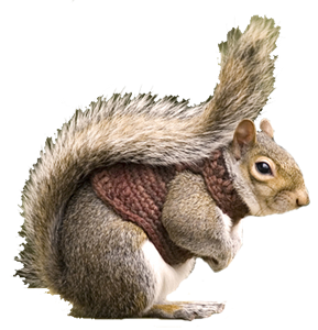 [squirrel-cutout-3_thumb%255B2%255D.png]
