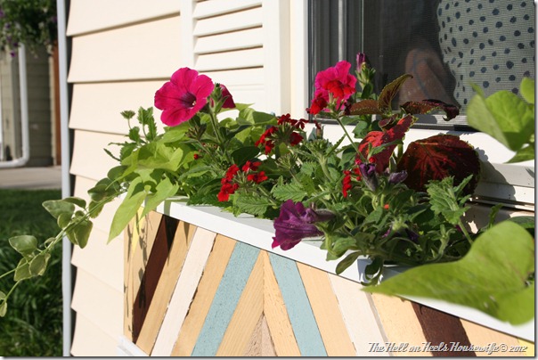 flower boxes 103 flower boxes 103