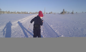 Bilde fra Sjusjøen
