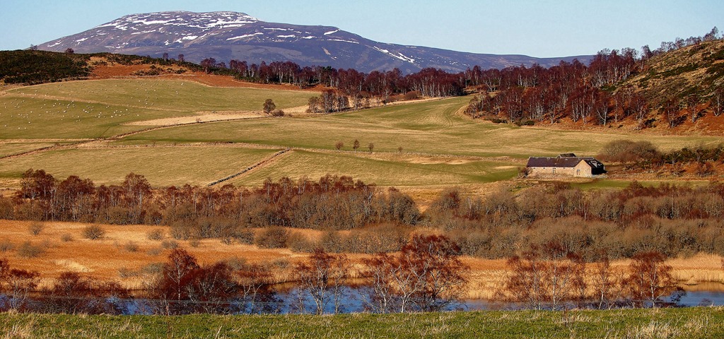 [19%2520Jan%25204%255B3%255D.jpg]