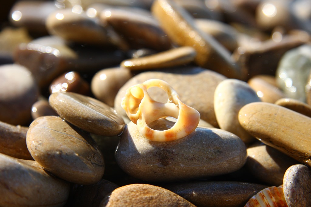 [Sassi-e-poesia-83.jpg]