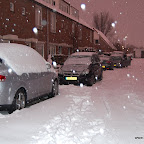DSC_3489.JPG