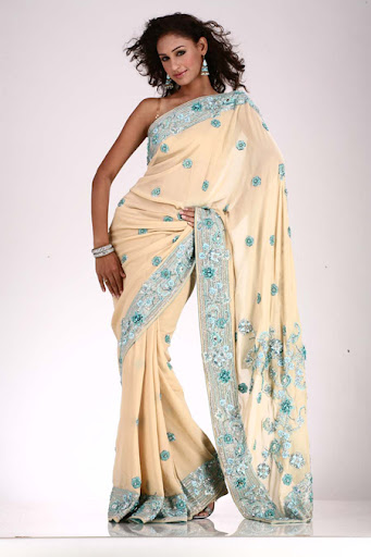 indian sari 5 indian sari 5