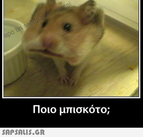 Ποιο μπισκότο; 