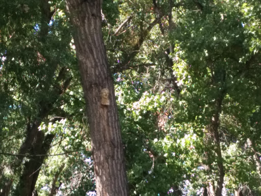 Faces in the Trees #3