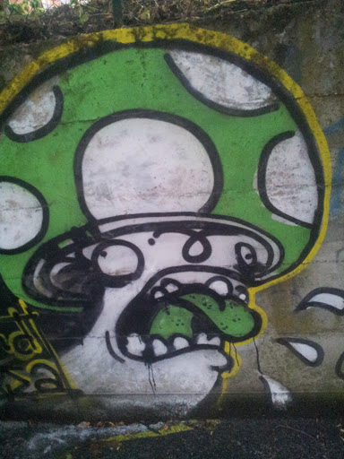 crazy mushroom murales