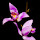Florida Orchids