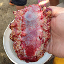 Spanish dancer