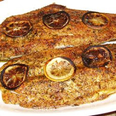 Broiled Spanish Mackerel