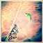 Lime swallowtail butterfly and pupa