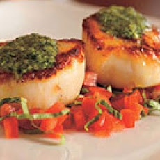 Pan-Seared Scallops with Pesto and Tomato