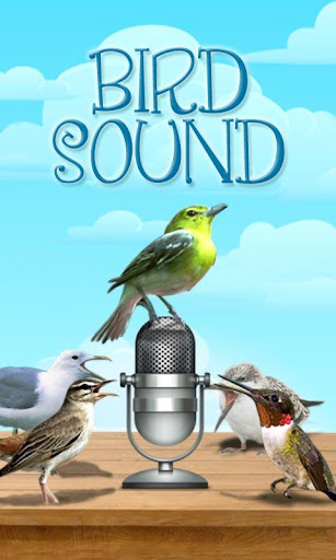 Bird Sound and Picture