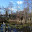 <p>
	Camley Street Natural Park Wetland</p>
