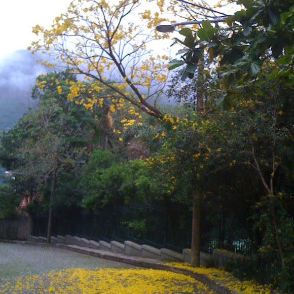 Spotting Image 1