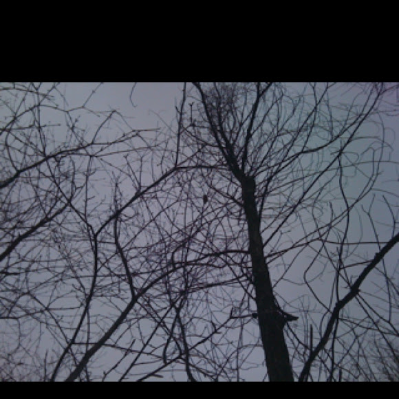 Spotting Image 1