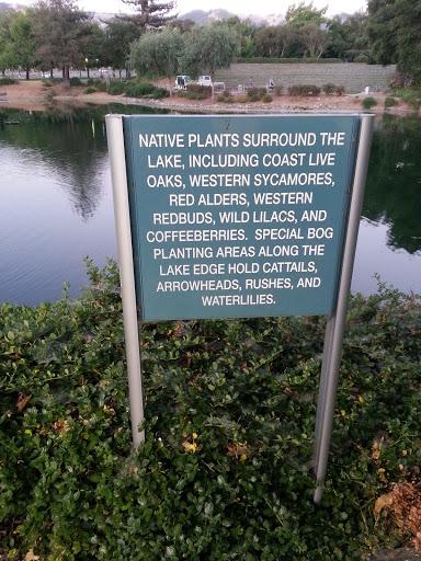 Native Plants