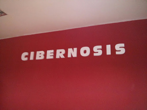 Cibernosis