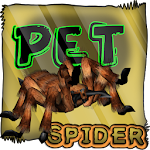 Spider Pet Apk