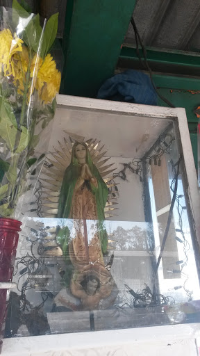Virgen En El Paradero