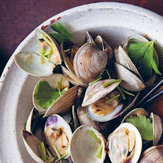 Grilled Littleneck Clams Recipe