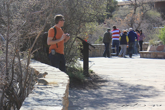 Spotting Image 1