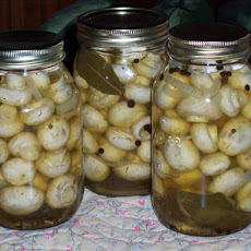 Marinated Mushrooms