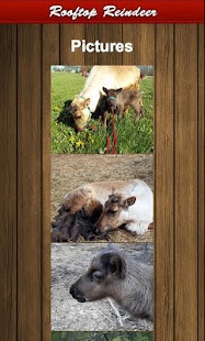 How to get LiveReindeer 1.0.1 apk for pc