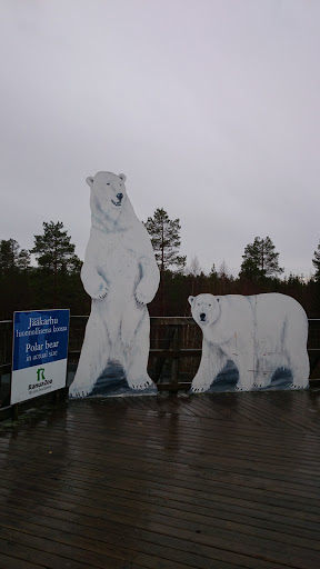 北極熊好高大