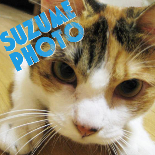 SUZUME PHOTO LOGO-APP點子