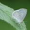 Summer Azure