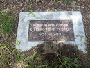 Steven Everett Louis Memorial Tree