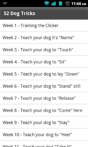 52 Dog Tricks and Training