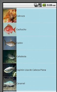 How to get PescaMed patch 1.0 apk for android