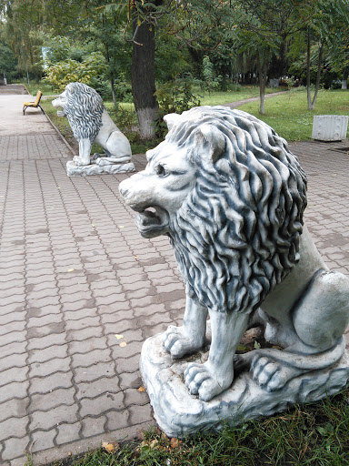 Lions of Bataysk