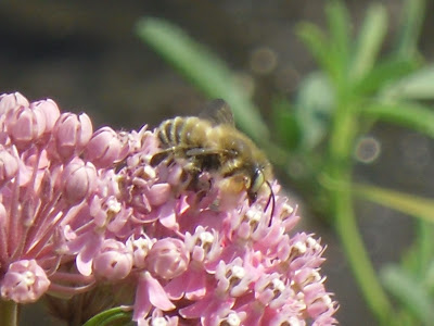 Help Image 1