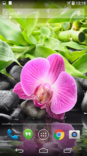 How to install Orchid Flower Live Wallpaper 1.0 unlimited apk for pc