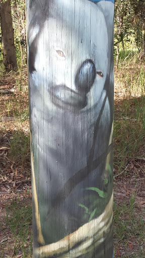 Koala on Pole at Bayliss