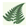 support.wildforests