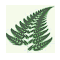 support.wildforests