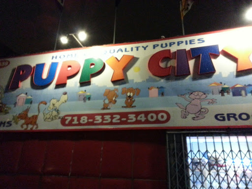 Puppy City