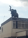 Elephant on the Roof